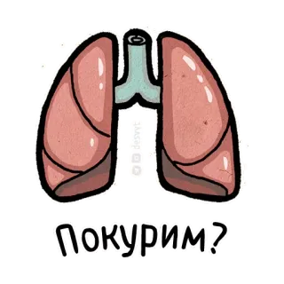 😓 ПОКУРИМ? lungs, smoking, cigarette, health, russian, text, cartoon telegram sticker
