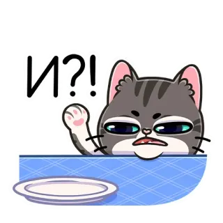 ❓ И?! chat, énervé, question, expression, russe, autocollant whatsapp sticker