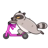 🏃‍♂️ guaxinim, scooter, animal, desenho animado, transporte telegram sticker
