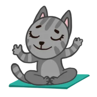 🧘‍♂ gato, yoga, meditação, pacífico, fofo, animal, relaxante telegram sticker
