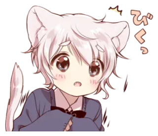 🍭 びっくり anime, catboy, cute, manga, kawaii whatsapp sticker