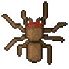 🕷