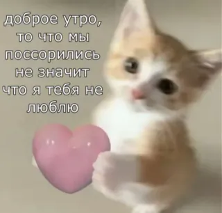 🤍 доброе утро, то что мы поссорились не значит что я тебя не люблю 猫, ハート, 愛, 朝, かわいい, 動物 whatsapp sticker