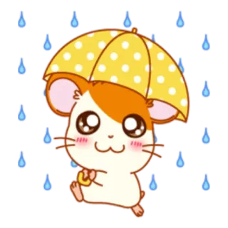 ⛈ chuột hamster, ô, mưa, dễ thương, hoạt hình, động vật, kawaii, nhãn dán telegram sticker