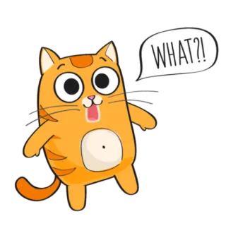 😨 WHAT?! Katze, geschockt, orange, Cartoon, Tier telegram sticker