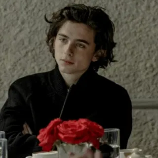 🐬 Timothée Chalamet diễn viên, người đàn ông, bàn, hoa, người telegram sticker