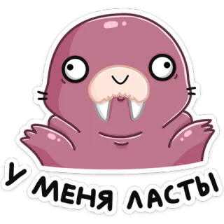 🤷‍♂️ У меня ласты morsa, dibujos animados, animal, lindo, ruso telegram sticker