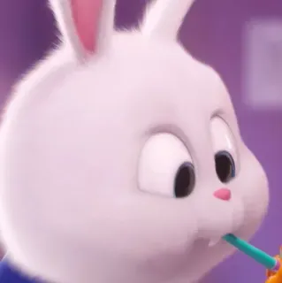 🍓 Snowball The Secret Life of Pets กระต่าย, น่ารัก, สัตว์, บันนี่, สัตว์เลี้ยง, การ์ตูน, ตลก telegram sticker