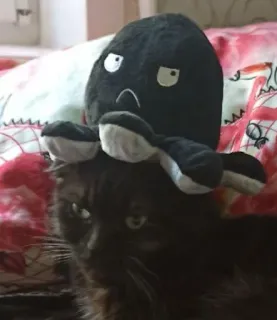 ☹️ gato, gato negro, peluche, pulpo, animal, mascota, lindo, animal doméstico telegram sticker