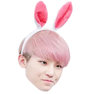 🐰 persona, orecchie da coniglio, capelli rosa, carino, coreano, fossette telegram sticker