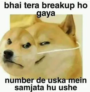 🤪 Doge Doge Meme bhai tera breakup ho gaya number de uska mein samjata hu ushe doge, meme, breakup, funny, friend, hindi, humor telegram sticker