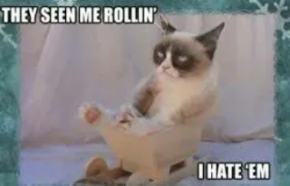 🙄 Grumpy Cat THEY SEEN ME ROLLIN'
I HATE 'EM 暴躁猫, 表情包, 猫, 搞笑, 讨厌, 滚动 whatsapp sticker