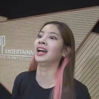 😑 ENTERTAINMENT person, woman, entertainment, jyp, kpop whatsapp sticker