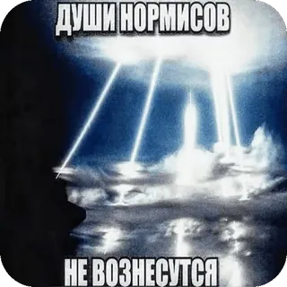👨🦰 ДУШИ НОРМИСОВ НЕ ВОЗНЕСУТСЯ telegram sticker