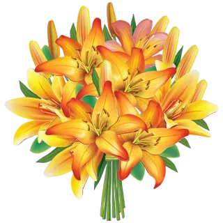 🌻 flowers, lily, bouquet, floral, plant, orange, yellow telegram sticker