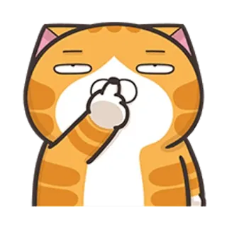🐵 고양이, 가운데 손가락, 모욕적인 제스처, 만화, 웃긴, 태도 telegram sticker