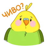 🤨 oof! bird, parrot, cute, sticker, cartoon telegram sticker