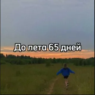 ☀️ До лета 65 дней verano, cuenta atrás, días, puesta de sol, campo, chica, paisaje telegram sticker