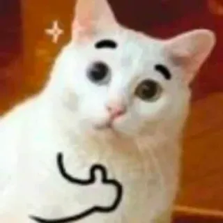 👍 cat, animal, meme, funny, middle finger, sticker telegram sticker