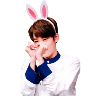 ❤️ telinga kelinci, love sign, kpop, idola, imut, orang telegram sticker