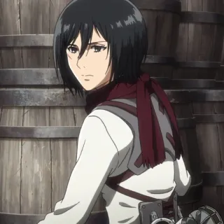 🥀 Mikasa Ackerman Attack on Titan Mikasa, Attack on Titan, anime, manga, female character, scarf telegram sticker