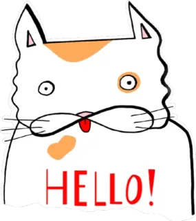 👋 HELLO! cat, animal, cute, friendly, greeting, hello telegram sticker