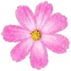 ☆ @emoji1 ★ telegram emojis 🌸