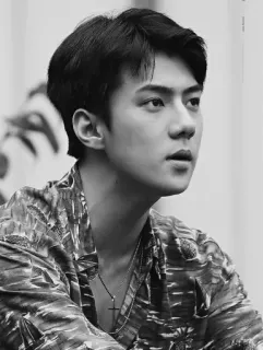 ➖ masculino, retrato, preto e branco, homem, pessoa, k-pop telegram sticker