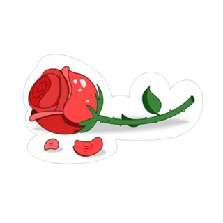 ❤ rose, flower, red, plant, floral, nature telegram sticker