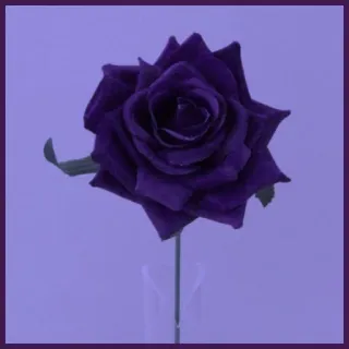 🥀 fleur, rose, violet, floral, plante, nature whatsapp sticker