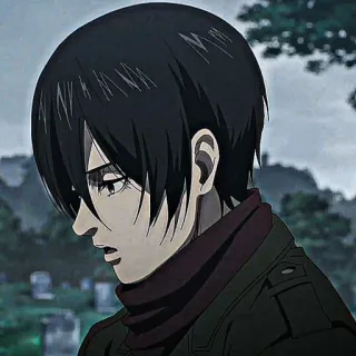 ❕ Mikasa Ackerman Attack on Titan 三笠, 进击的巨人, 动漫, 角色, 黑发, 悲伤 telegram sticker