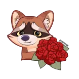 🌹 Waschbär, Tier, Rosen, Blumen, Strauß, Süß, Cartoon whatsapp sticker