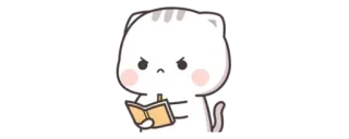 👑 고양이, 화난, 공부, 책, 만화, 동물, 스티커 whatsapp sticker
