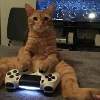 🌟 cat, gaming, controller, ps4, pet, orange cat telegram sticker