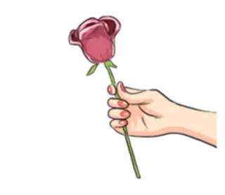 🌹 rosa, flor, mano, regalo telegram sticker