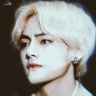 ⚜ V kpop, idol, v, bts, sänger, porträt, musik telegram sticker