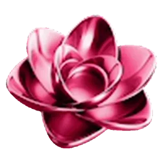 🌺
