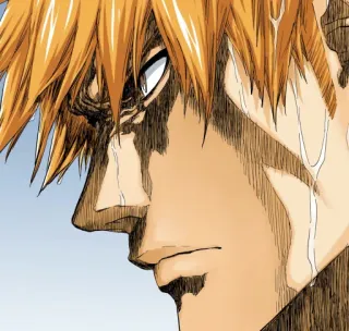 😠 Ichigo Kurosaki Bleach Ichigo, Bleach, Anime, Personaggio, Manga, Faccia, Capelli Arancioni telegram sticker