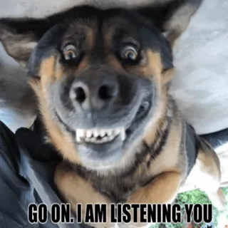🤔 GO ON. I AM LISTENING YOU anjing, binatang, mendengarkan, meme, lucu, ayo, hewan peliharaan telegram sticker