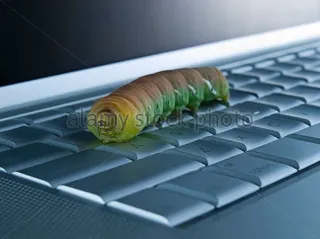 🐛 ulat, serangga, keyboard, komputer, makro, binatang, alam, close-up telegram sticker