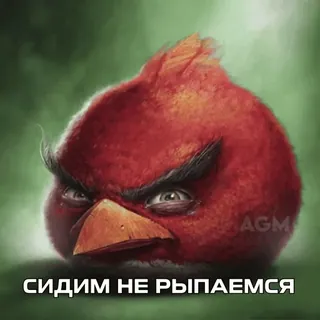 🦅 СИДИМ НЕ РЫПАЕМСЯ uccello, rosso, arrabbiato, seduto, espressione, russo, testo telegram sticker