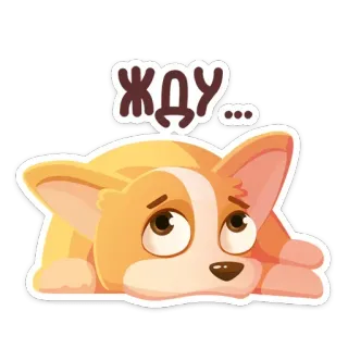 😑 ЖДУ... corgi, cachorro, esperando, fofo, adesivo, animal telegram sticker