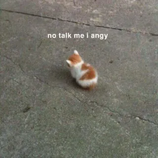 1️⃣ no talk me i angy gatto, gattino, arrabbiato, meme, divertente, animale domestico telegram sticker