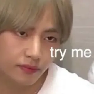 🐯 try me Meme, Experimente-me, Desafio, Expressão facial, Pessoa, K-pop telegram sticker