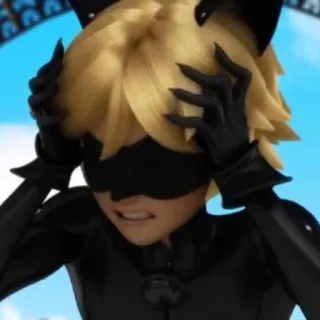 🐈‍⬛️ Cat Noir Miraculous: Tales of Ladybug & Cat Noir Cartoon, Superheld, Frustriert, Anime, Katze telegram sticker