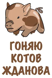 Unlucky @stickersb2b telegram stickers
