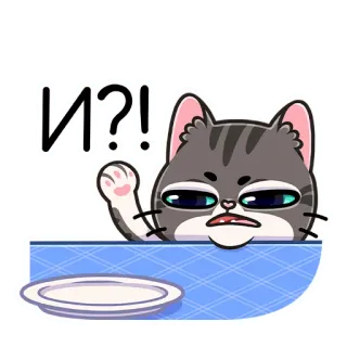 ❓ И?! kucing, pertanyaan, stiker, rusia, tidak senang, meme, marah whatsapp sticker