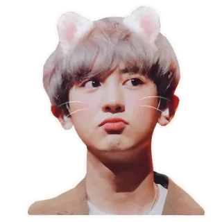 🐱 K-pop, Idol, Selfi, Foto con filtro, Dibujo animado, Orejas de gato whatsapp sticker