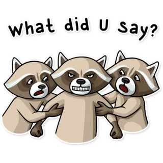 👊 What did U say? szop, zwierzęta, pytanie, śmieszne, kreskówka telegram sticker