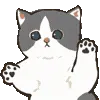 🐾